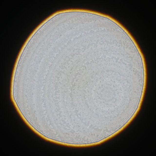 ディテール表現