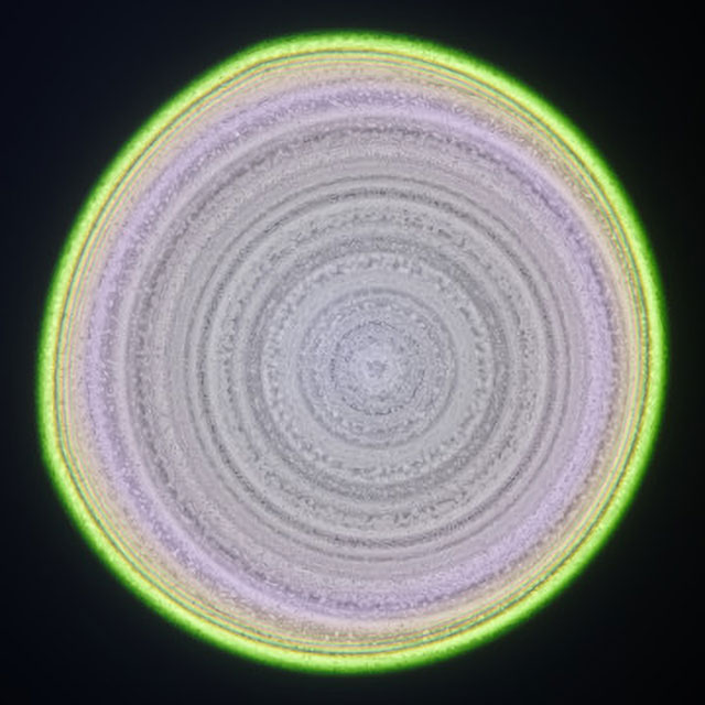 ディテール表現